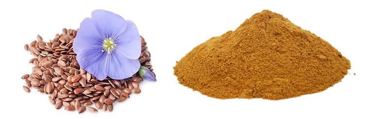 Linum usitatissimum L