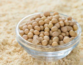 Aiheuttaako soijaproteiini-isolaatti painonnousua?