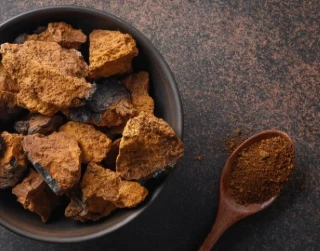 Kuinka tehdä Chaga -sienuutte?