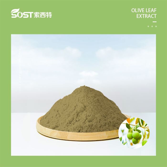 Oliivinlehtiuute syöpää varten