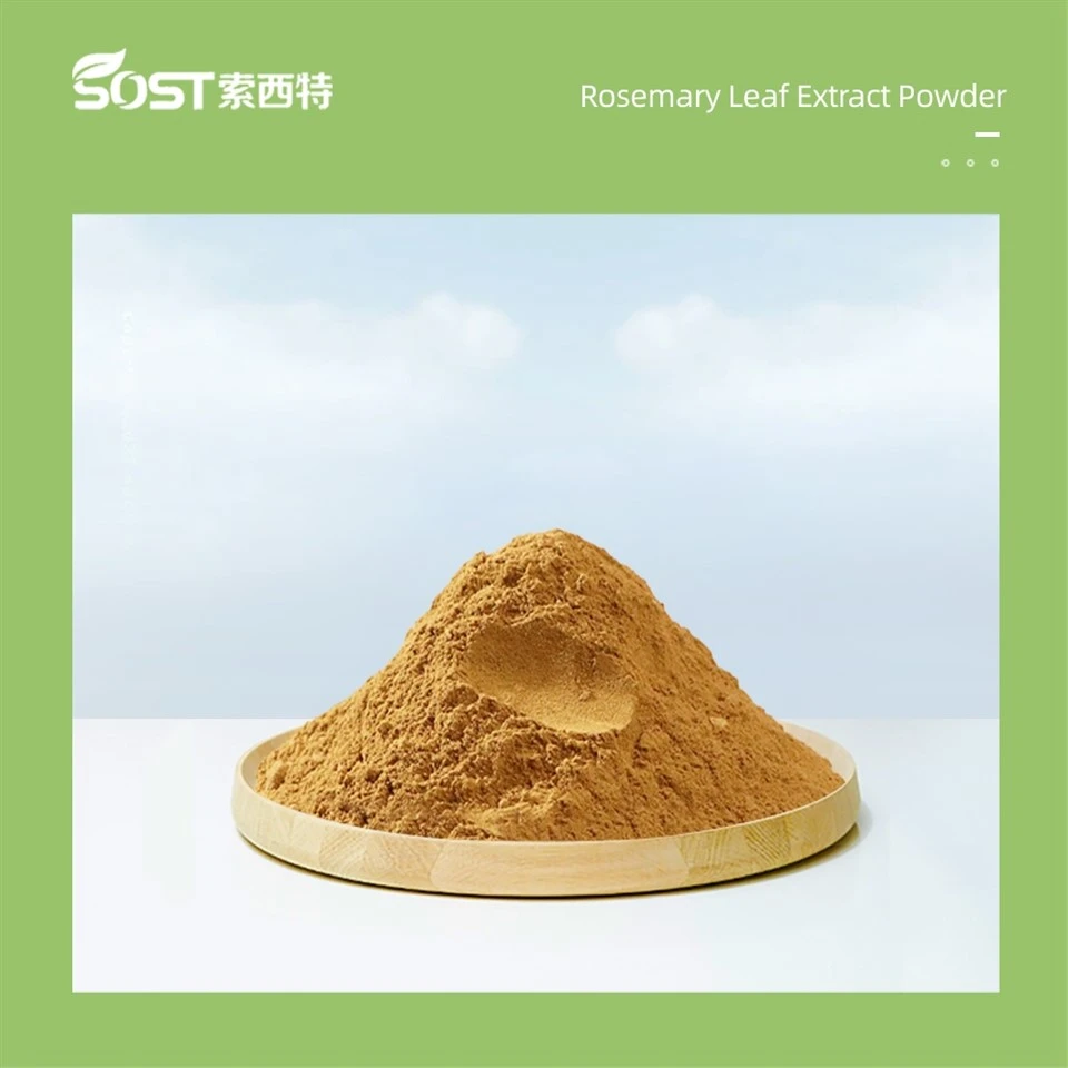 Rosemary Leaf Extract Powder