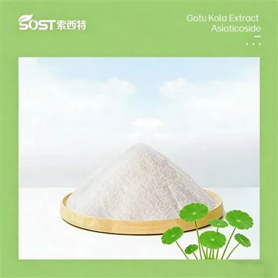Gotu Kola -uute Asiaticoside