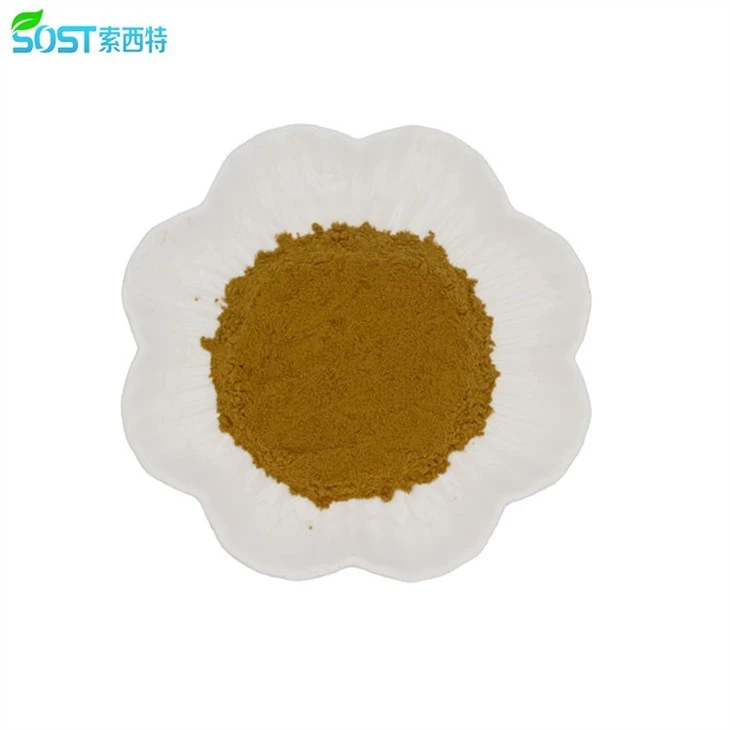 Flax Seed Extract Powder