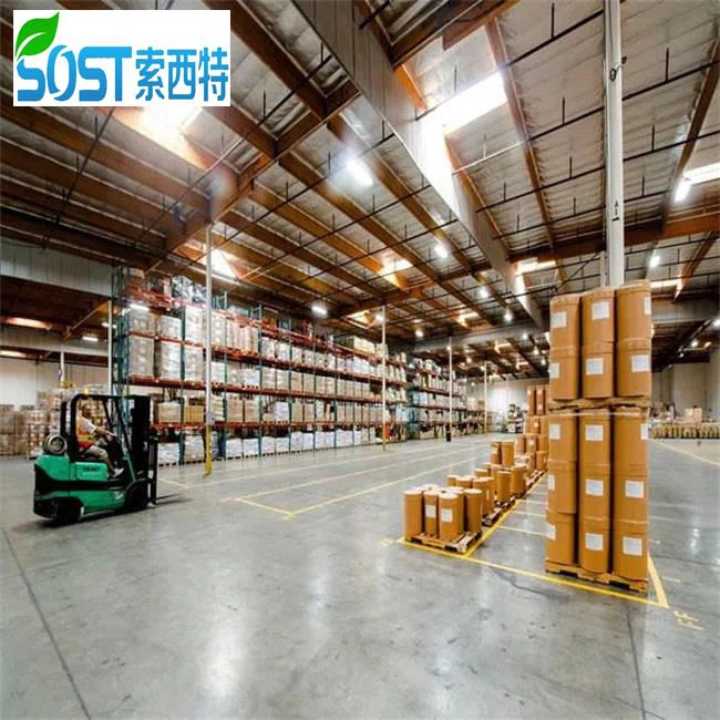 Sea Cucumber Peptide Powder