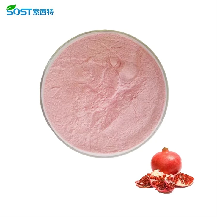Pomegranate Extract Powder