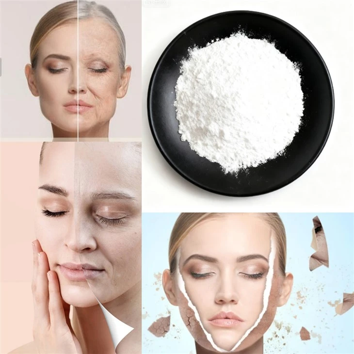 Hydrolyzed Sponge Extract suppliers